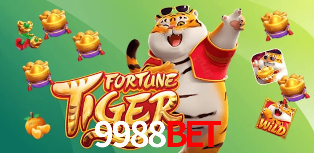 Experiência VIP 9988bet
